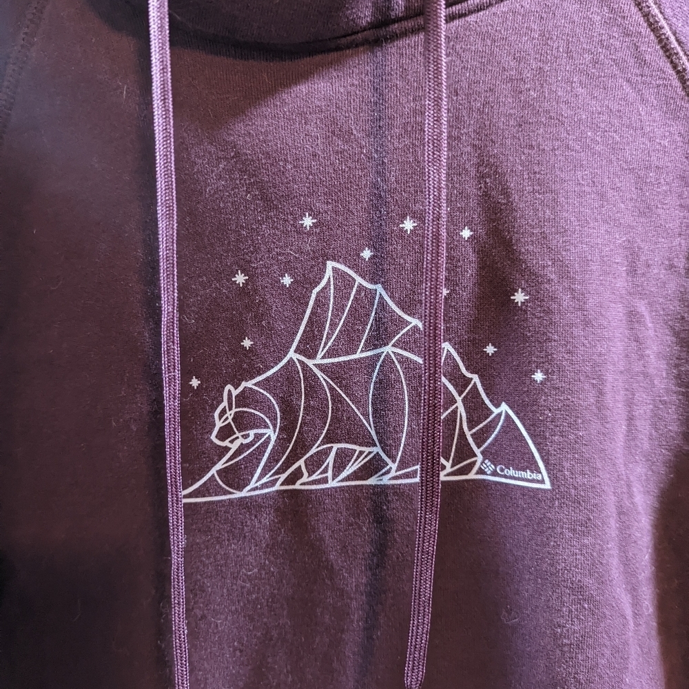 Columbia Graphic Hoodie | Size S - Picture 3 of 6